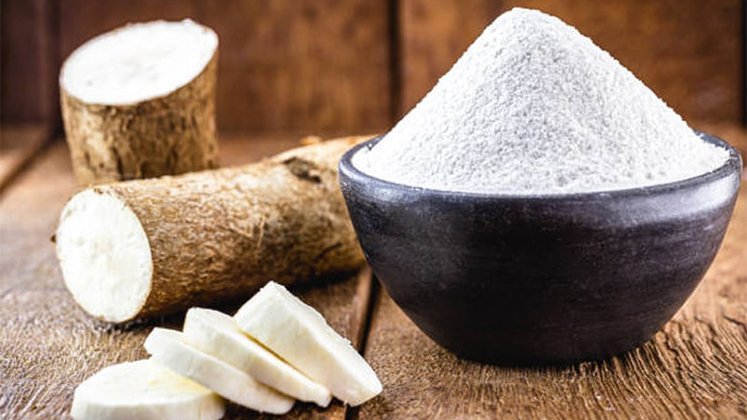 Starch and Derivatives