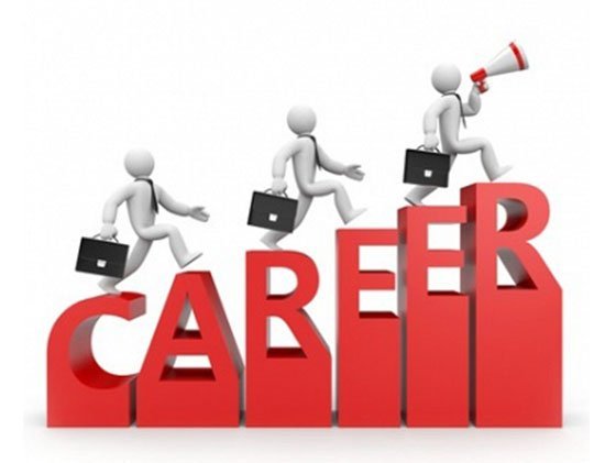 Career