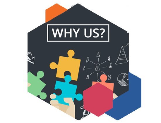 Our Expertise